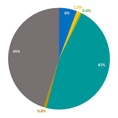Faculty Race and Ethnicity - Uniqueness and Diversity