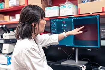 Momoko Yoshitmoto, MD, PhD, working in her lab