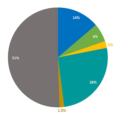 Residents and Fellows Race and Ethnicity - Uniqueness and Diversity