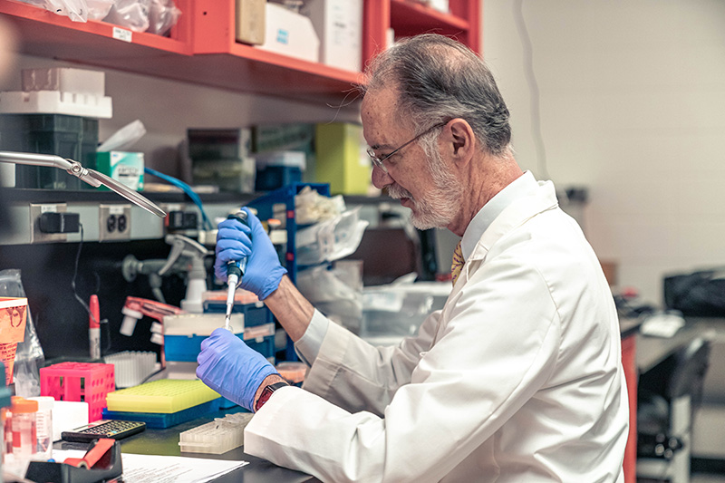 Thomas Rothstein, MD, PhD, transfers samples in his lab