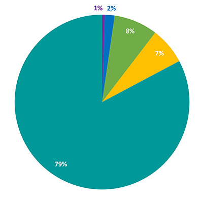 Southwest Michigan Race and Ethnicity - Uniqueness and Diversity