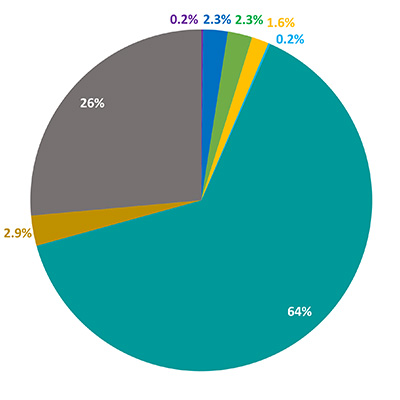 Staff Race and Ethnicity - Uniqueness and Diversity