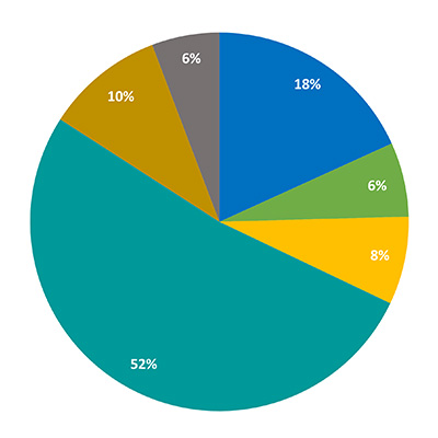 Students Race and Ethnicity - Uniqueness and Diversity