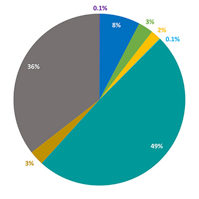 WMed Race and Ethnicity - Uniqueness and Diversity